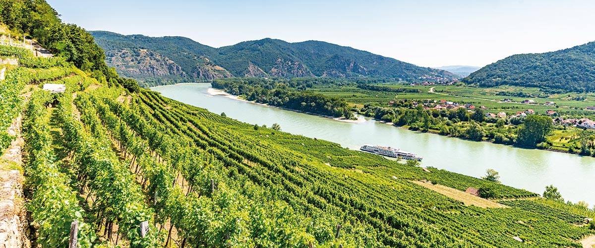A view over the vineyards of the Wachau Valley, Austria